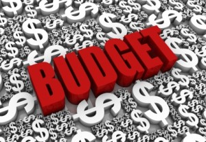 Website budget